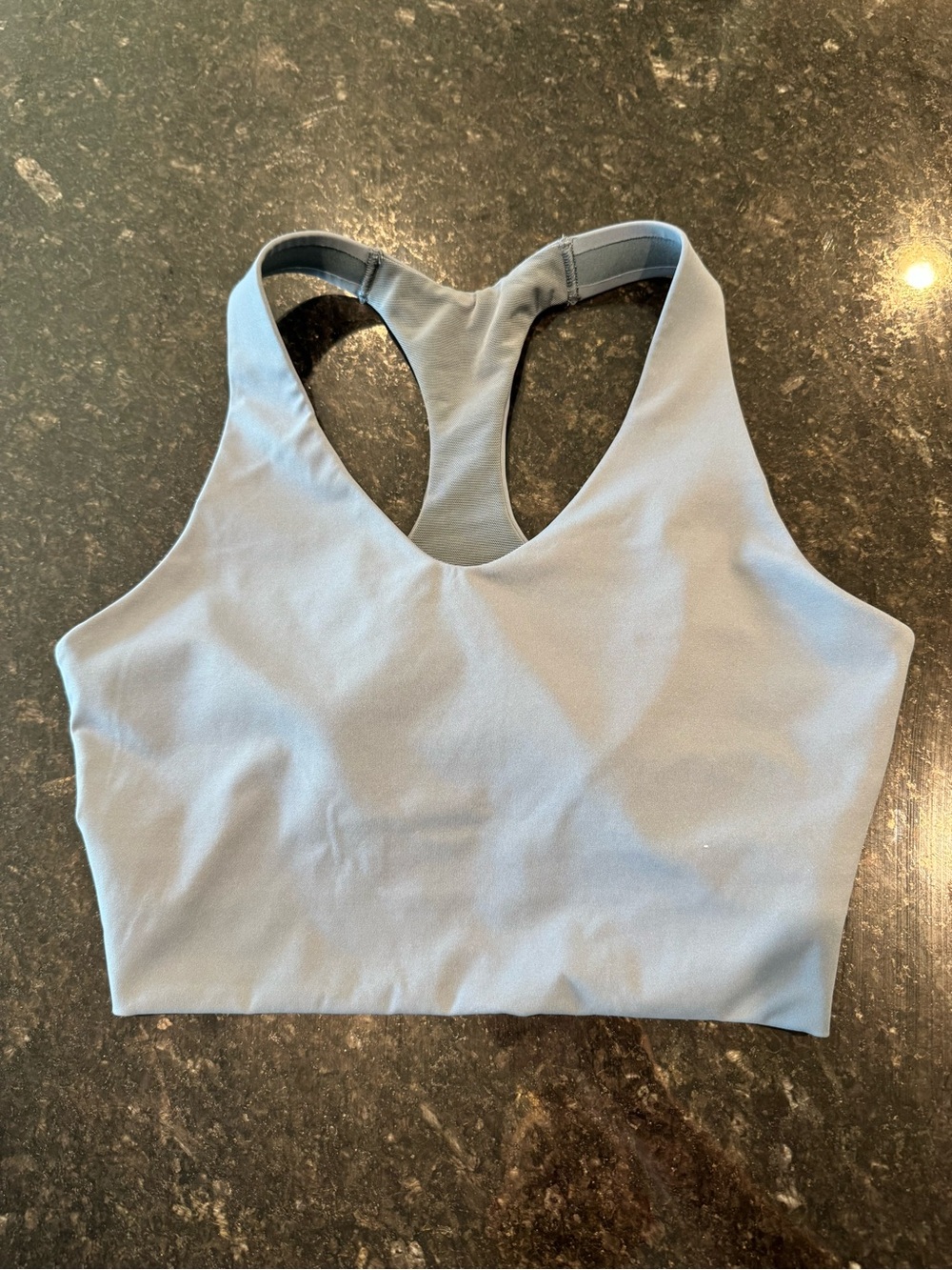 Spanx long line bra